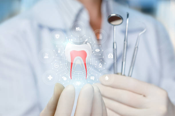 Professional Dental Services in Strasburg, VA